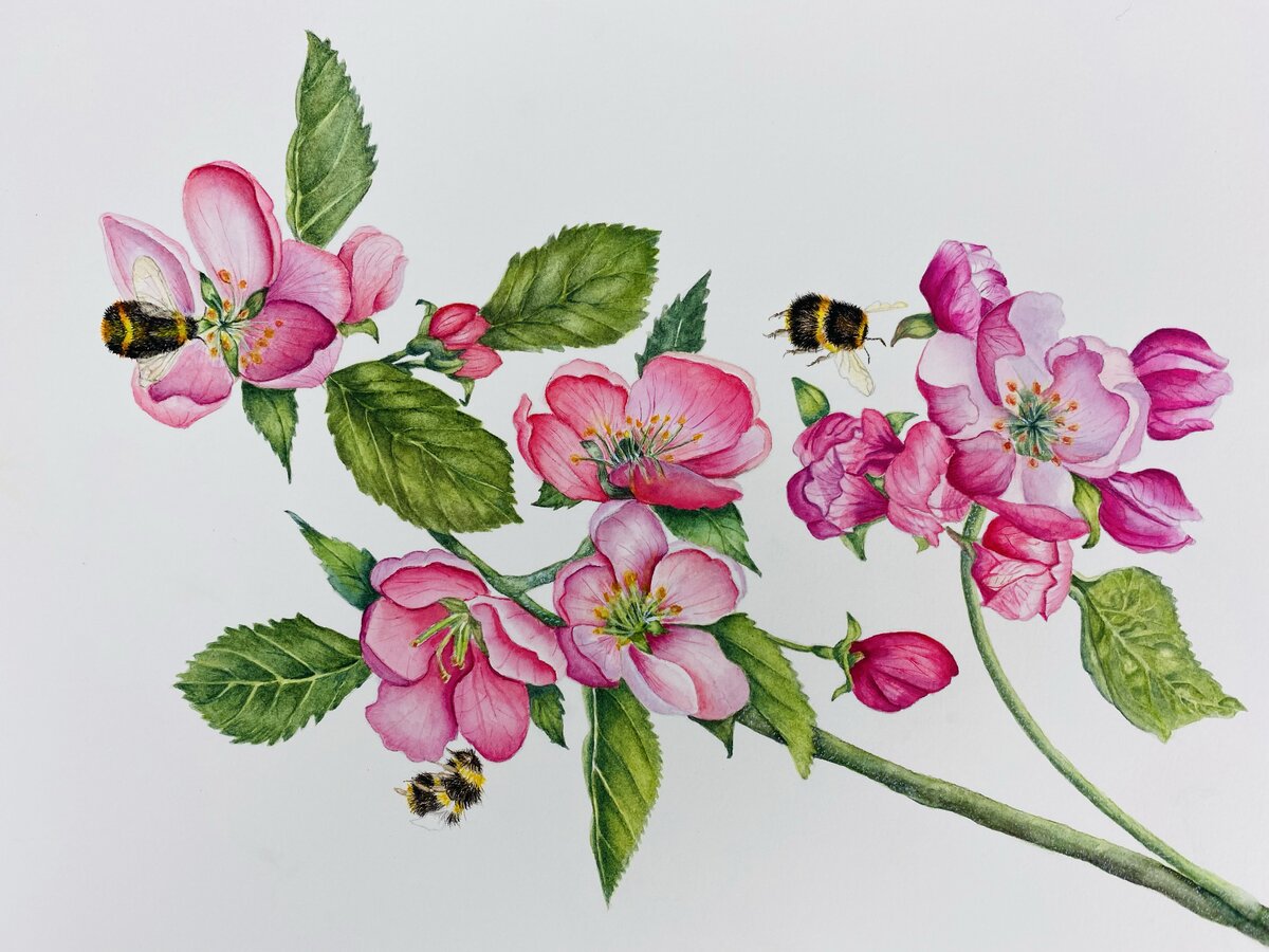 Watercolor artwork 1