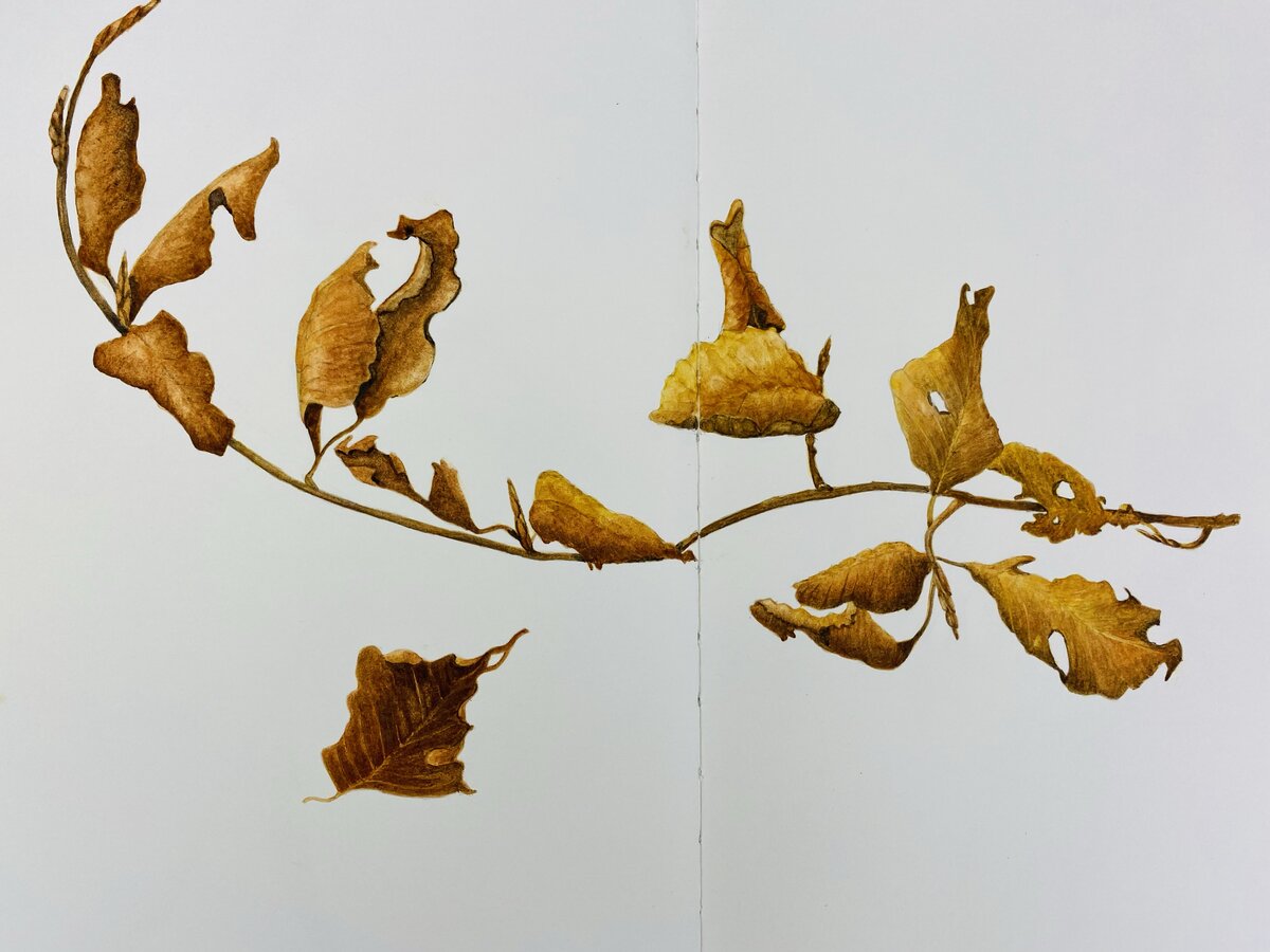 Watercolor artwork 2