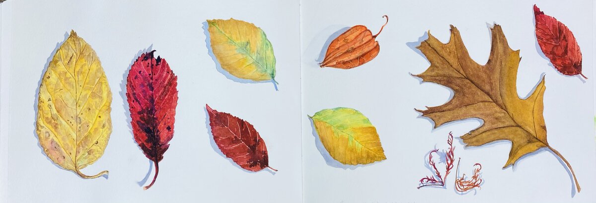 Watercolor artwork 7